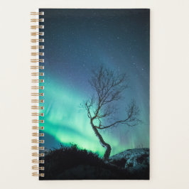Agenda Árbol de luces boreales