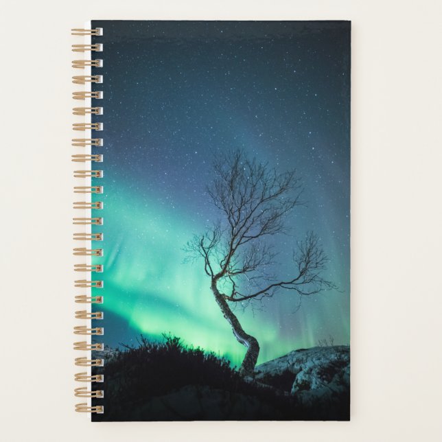 Agenda Árbol de luces boreales (Anverso)