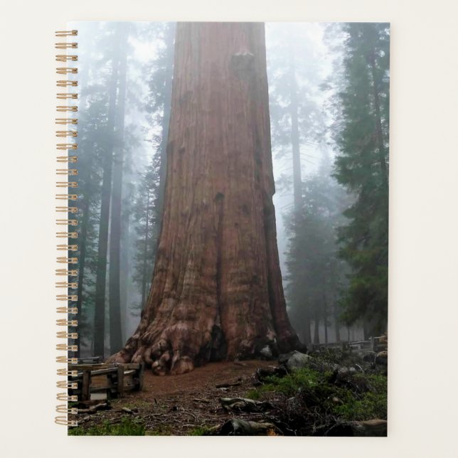 Agenda Árbol general Sherman, Sequoia, CA (Anverso)