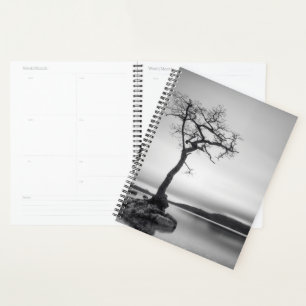 Agenda Árbol solitario