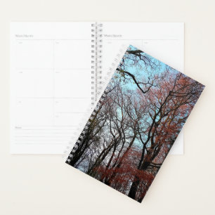 Agenda Árboles de otoño