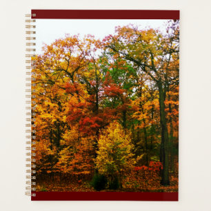 Agenda Árboles Naranjas del otoño