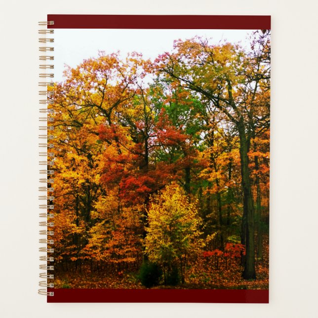 Agenda Árboles Naranjas del otoño (Anverso)