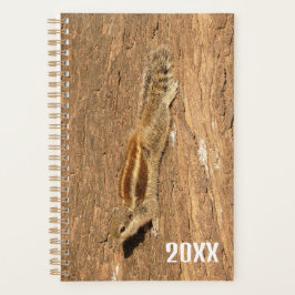 Agenda Ardilla de palma india en un tronco de árbol