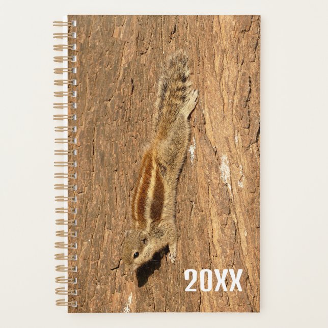 Agenda Ardilla de palma india en un tronco de árbol (Anverso)