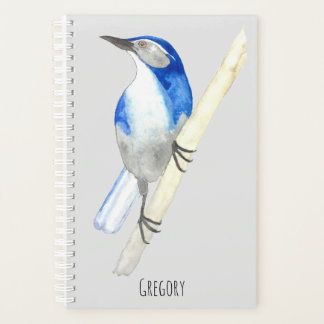 Agenda Arrendajo de California personalizado