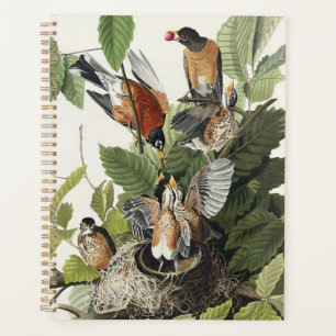 Agenda Arte Antiguo Nido de Pájaro Robin Americano de Aud