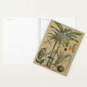 Agenda Arte botánico de frutas tropicales palmo antiguo