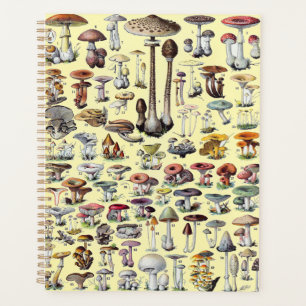 Agenda Arte Botánico Encantador de Cabaña de Hongos Franc