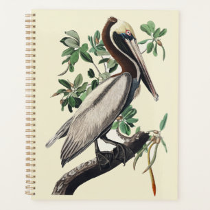 Agenda Arte de Ave Costera Vintage Audubon Pelícano Pardo