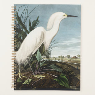 Agenda Arte de Ave Garza Blanca de Audubon Vintage