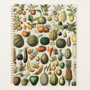 Agenda Arte de cartel vintage de frutas botánicas frances