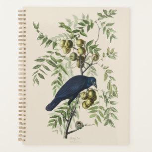 Agenda Arte de la naturaleza del cuervo americano Audubon