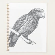 Arte de línea de loro (gris) Arte fino