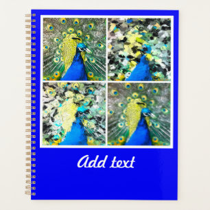 Agenda Arte de Peacock