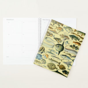 Agenda Arte de pesca científica de peces de época