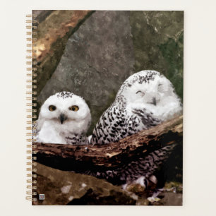 Agenda Arte de vida silvestre del bosque de pareja de búh