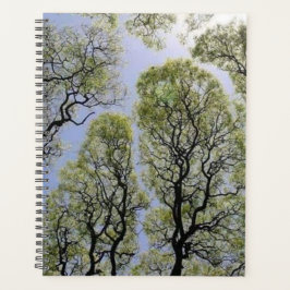 Agenda Arte intrincado de árbol verde en baldaquino