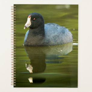 Agenda Arte mural de fauna silvestre de polla americana F