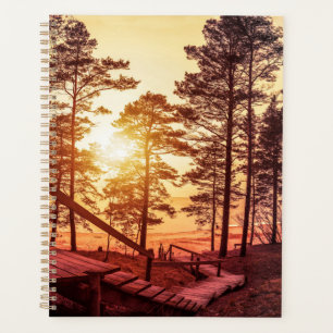 Agenda Atardecer sobre un sendero de madera en un bosque 