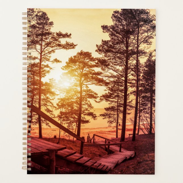 Agenda Atardecer sobre un sendero de madera en un bosque  (Anverso)