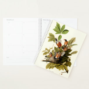 Agenda Audubon American Robin Wildlife Bird Ilustracion