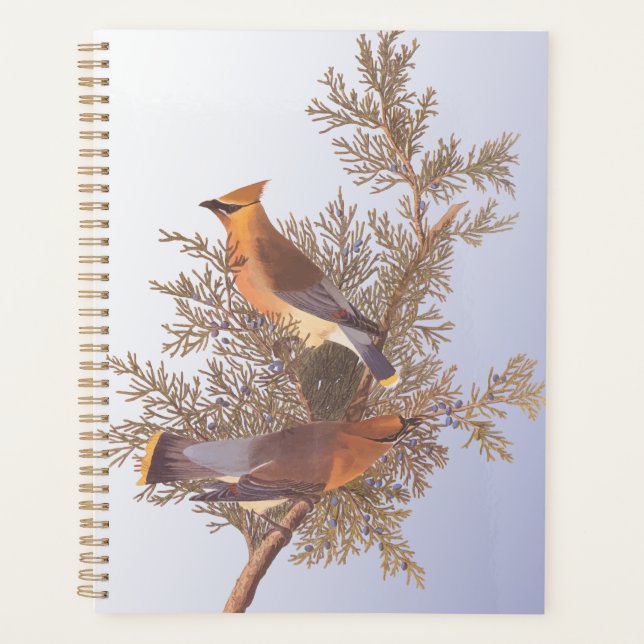 Agenda Audubon Cedar Waxwing Bird en Evergreen Juniper (Anverso)