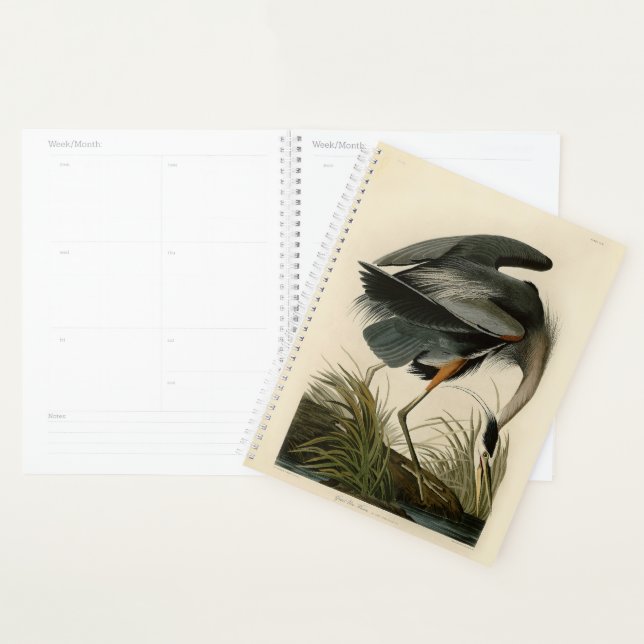 Agenda Audubon Great Blue Heron Marsh Bird (Demostración)