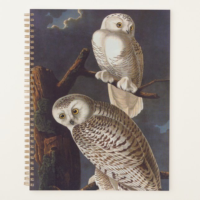 Agenda Audubon Snowy White Owls on a Dark Cloudy Night (Anverso)