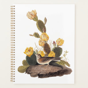 Agenda Audubon Vesper Sparrow y Pricky Pear Cactus