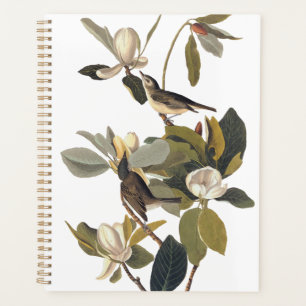 Agenda Ausencia Audubon del Viejo de los Aves de la Viña
