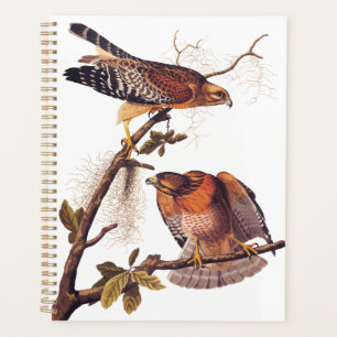 Agenda Ave Audubon de Halcón Rojo de Prey