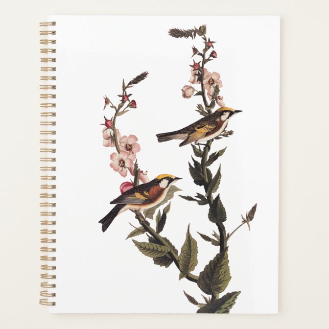 Agenda Ave Audubon de la Warbler de castaño en flor silve (Anverso)