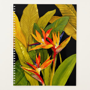 Agenda Ave del paraíso