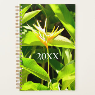 Agenda Ave del paraíso