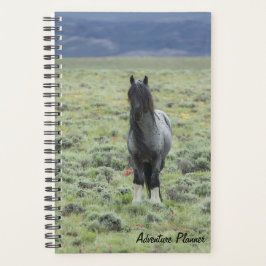 Agenda Aventura con Blue Zeus