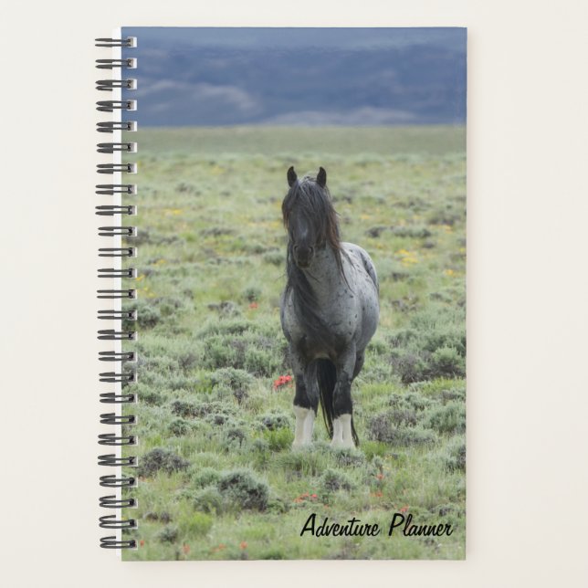 Agenda Aventura con Blue Zeus (Anverso)