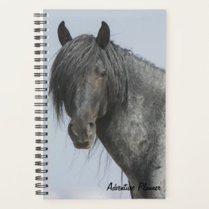 Agenda Aventura Planner