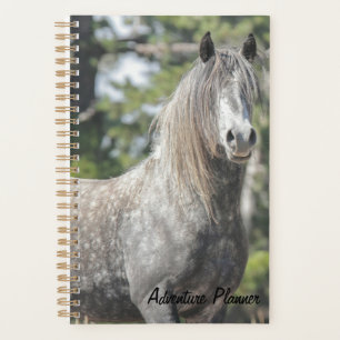 Agenda Aventura Planner