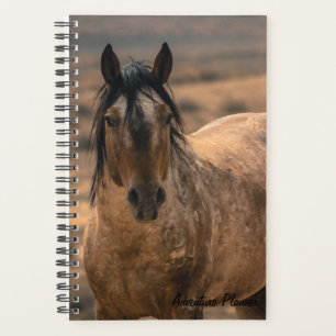 Agenda Aventura Planner