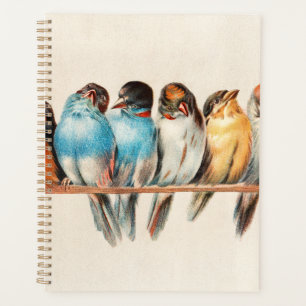Agenda Aves azules y amarillas sentando Bonito