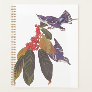 Agenda Aves de Audubon con bayas de oso