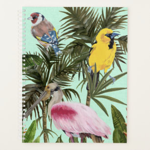 Agenda Aves en el paraíso