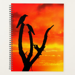 Agenda Aves y atardecer