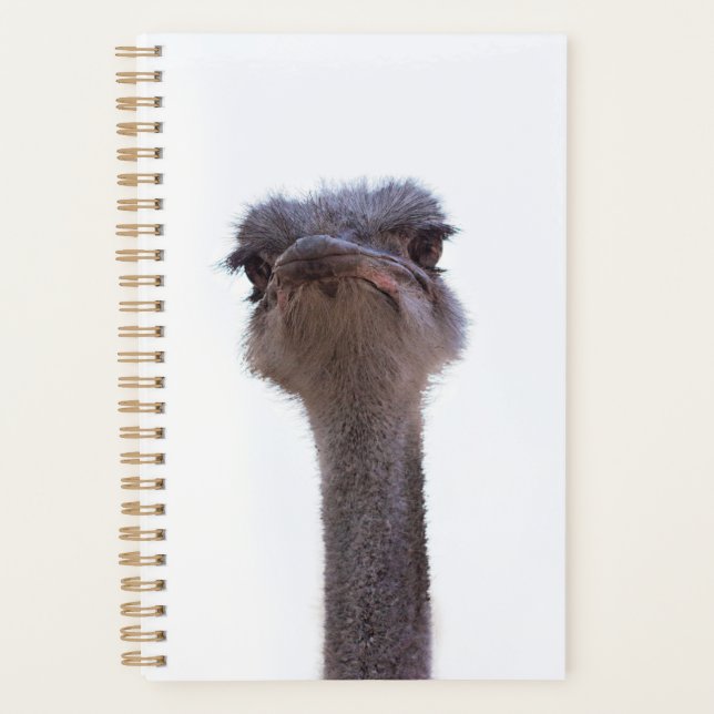 Agenda avestruz (Anverso)
