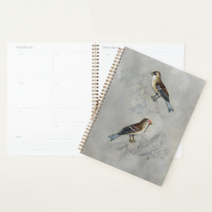 Agenda Aviario silencioso   Dos Aves