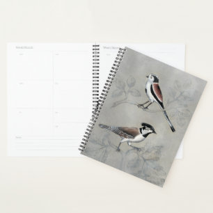 Agenda Aviario silencioso   Un par