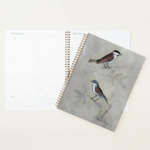 Agenda Aviario silencioso   Un Par De Aves