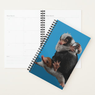 Agenda Baby Nifflers Find A Prize