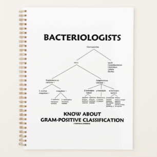 Agenda Bacteriólogos conocen la clasificación grampositiv